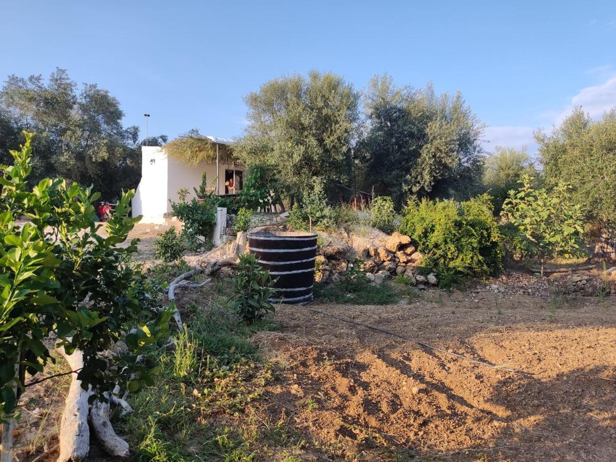 Corfu Oasis Studio Neochorakion Exteriér fotografie